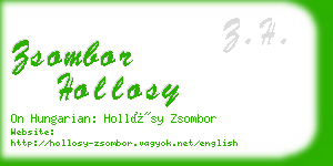 zsombor hollosy business card